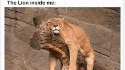 I have sth inside me