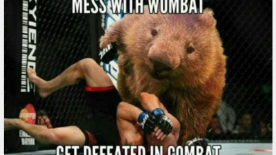 Nice poem with wombat