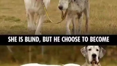 She is blind, but he choose to become