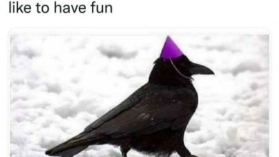 Why crow is wearing a hat