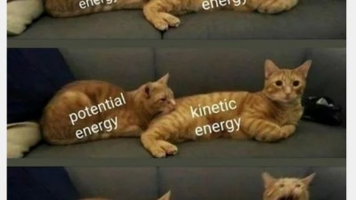 Physics in cute meow