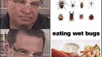 eating bugs